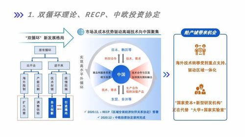 红星花有限公司客服电话-第4张图片-优品飞百科