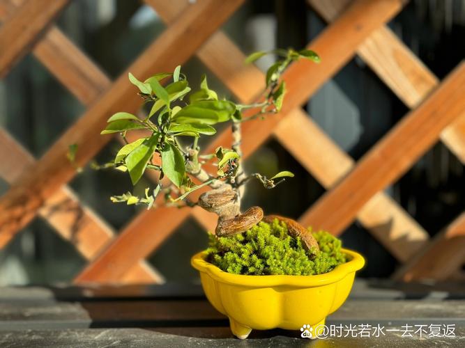 金豆花平台24小时客服电话-第4张图片-优品飞百科