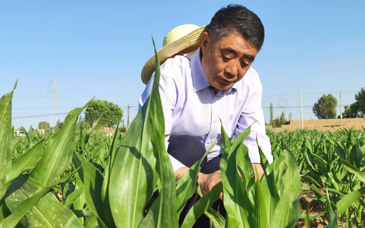 芸豆分在线全国统一客服电话