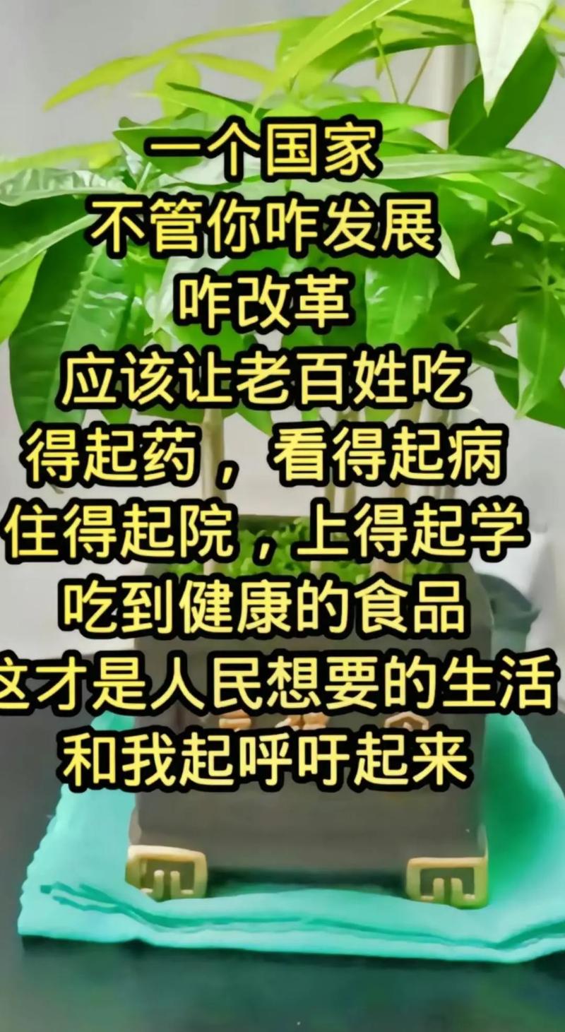 鑫亿达平台24小时客服电话-第4张图片-优品飞百科