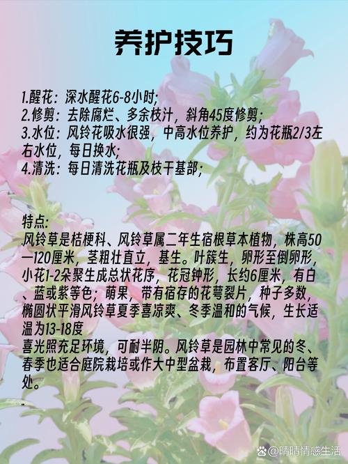 无忧花全国统一客服电话