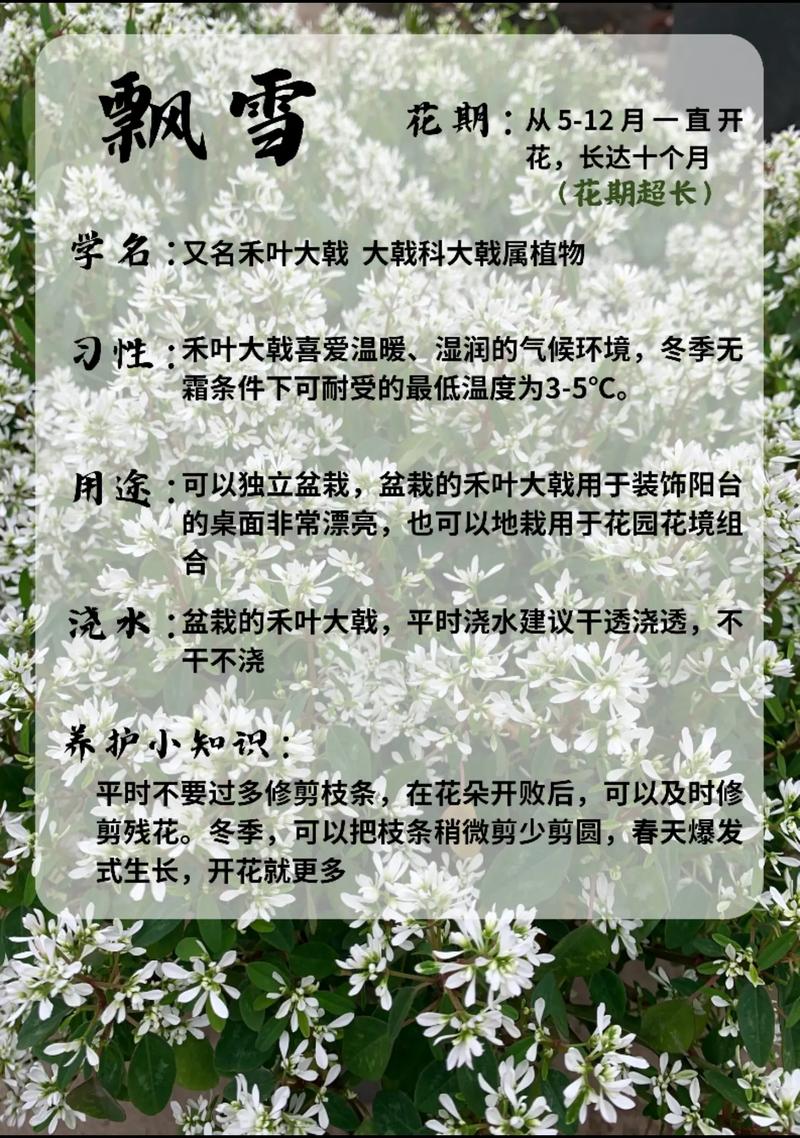 宜心花客服服务电话