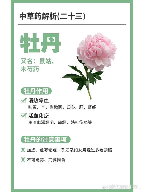 牡丹花拨打服务电话-第2张图片-优品飞百科