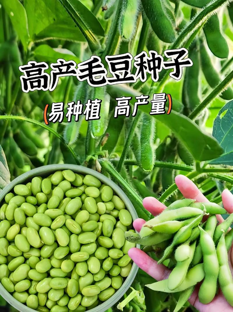 毛豆分期平台24小时客服电话-第5张图片-优品飞百科