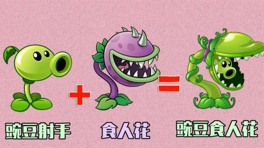 射手花APP全国统一客服电话