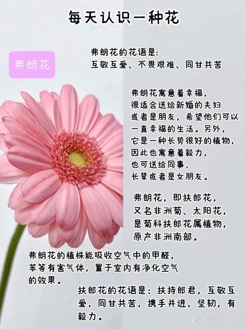 利安花24总部客服电话-第1张图片-优品飞百科