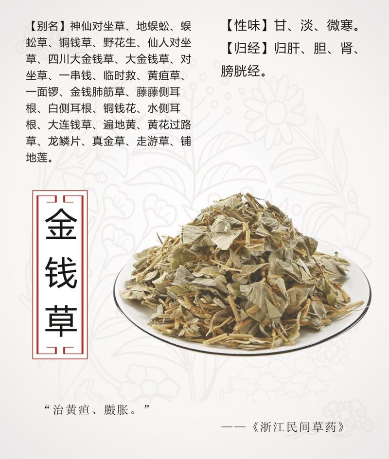 金钱花APP全国统一客服电话-第1张图片-优品飞百科 金钱花APP全国统一客服电话-第1张图片-优品飞百科