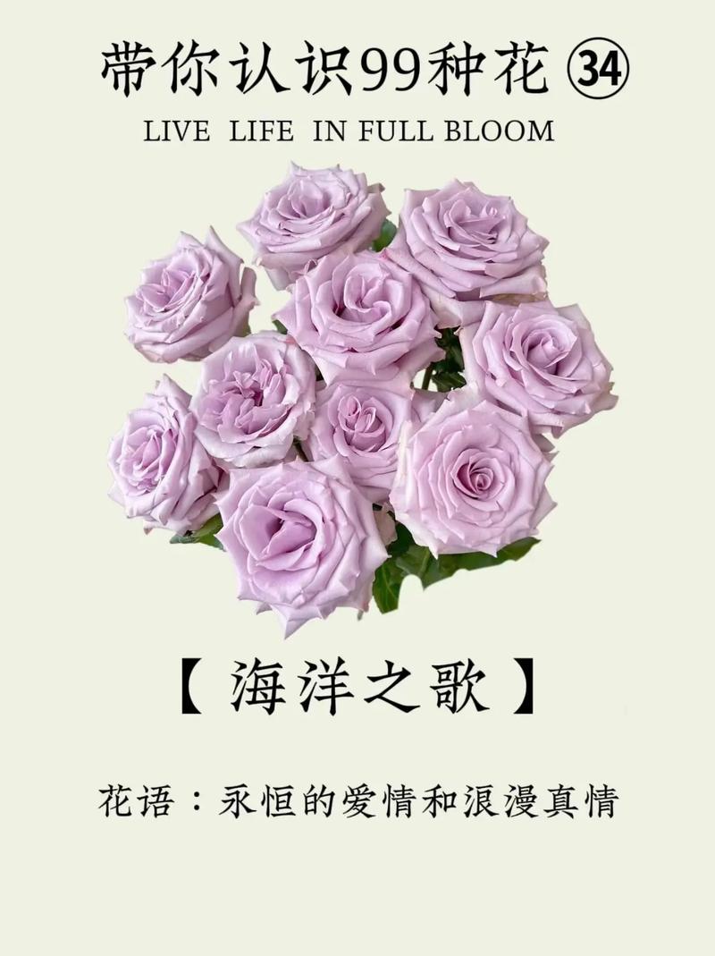 安心花总部客服电话-第1张图片-优品飞百科