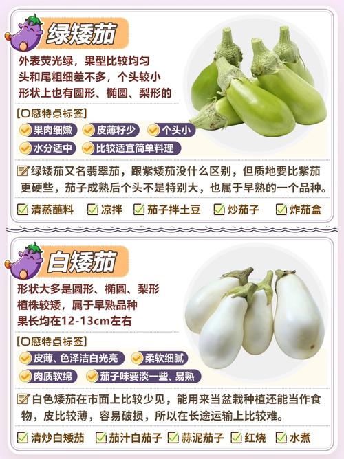 茄子钱包全国统一24小时在线-第1张图片-优品飞百科