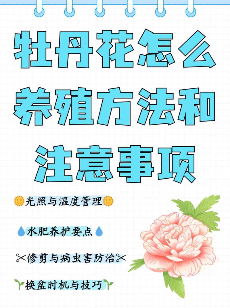 牡丹花APP全国统一24小时在线-第1张图片-优品飞百科