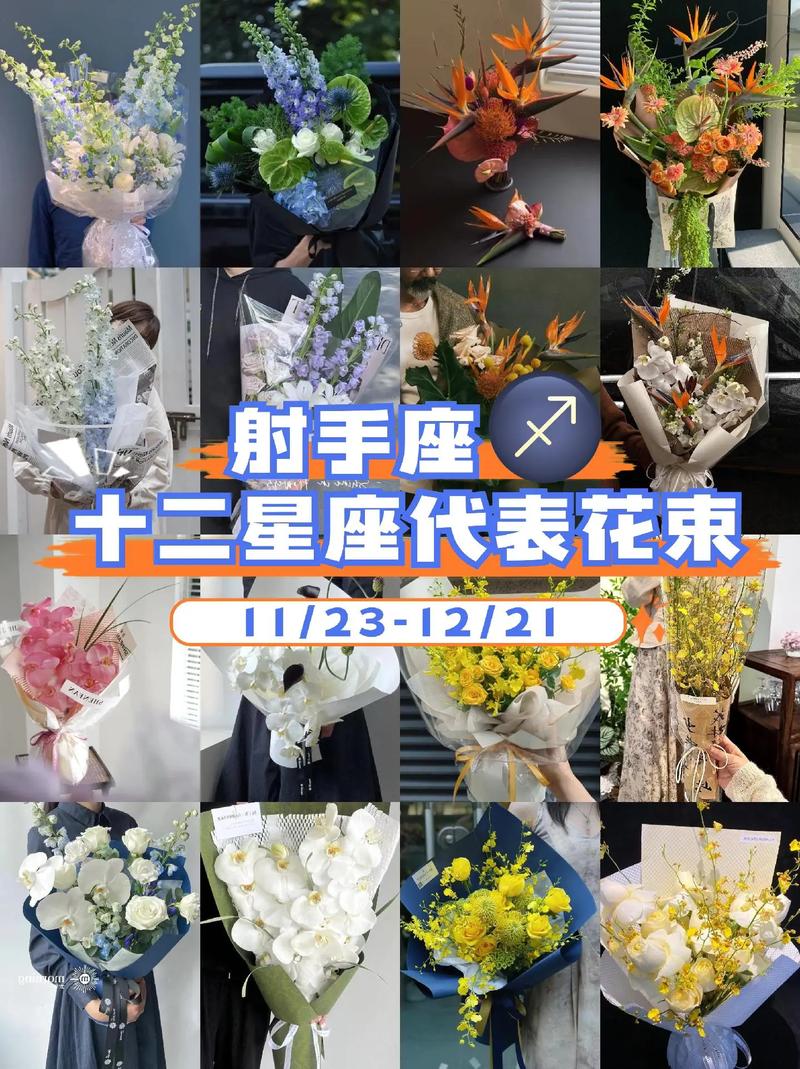 射手花24在线客服电话-第1张图片-优品飞百科