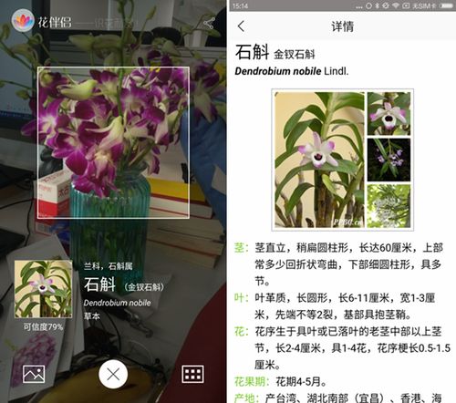 欣欣花APP24小时在线服务