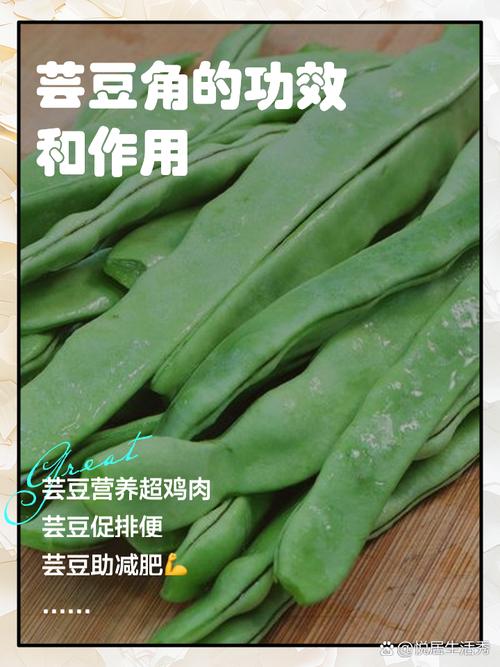 芸豆分借款全国统一客服电话-第3张图片-优品飞百科