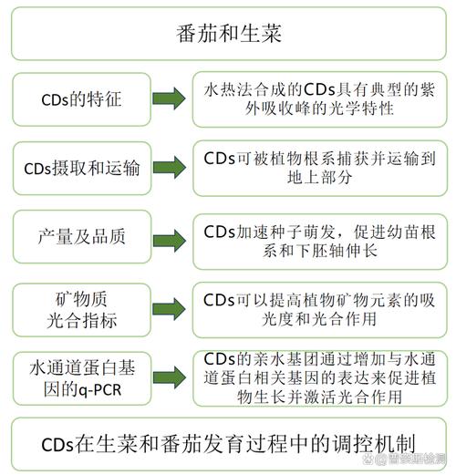 番茄分期全国统一客服电话