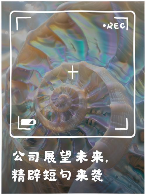 速通借款公司24小时在线服务-第4张图片-优品飞百科