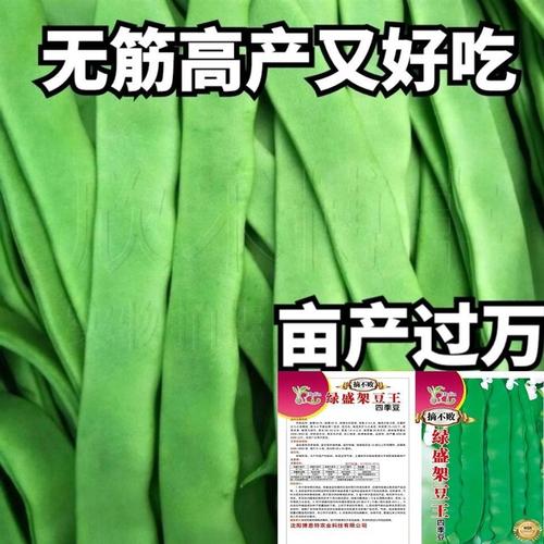 芸豆分协商全国统一客户端电话