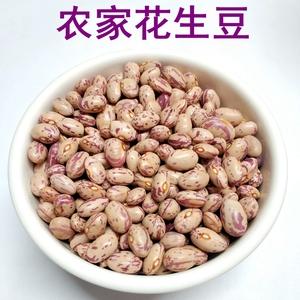 芸豆花人工客户端电话-第4张图片-优品飞百科