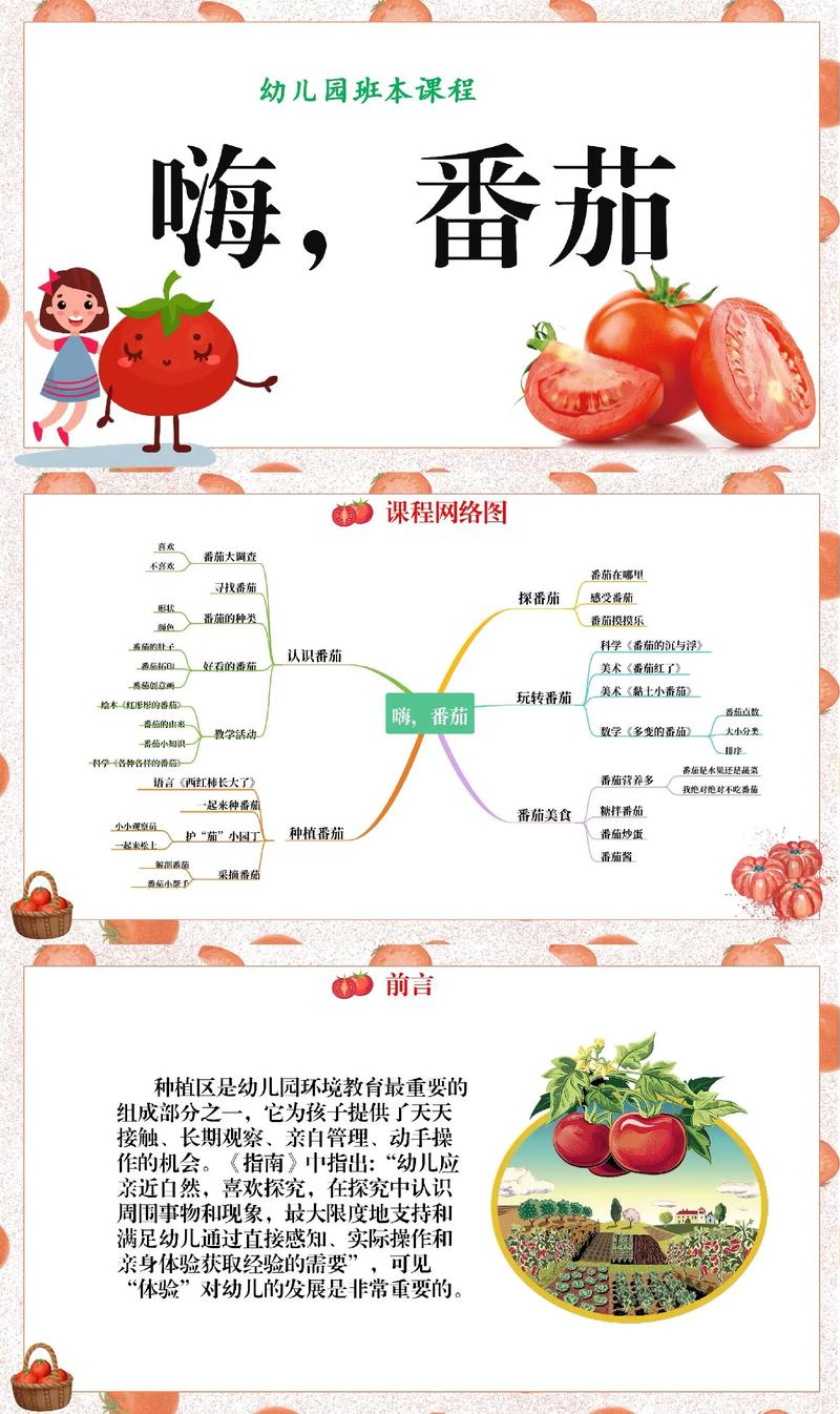 番茄分期全国统一人工客户端