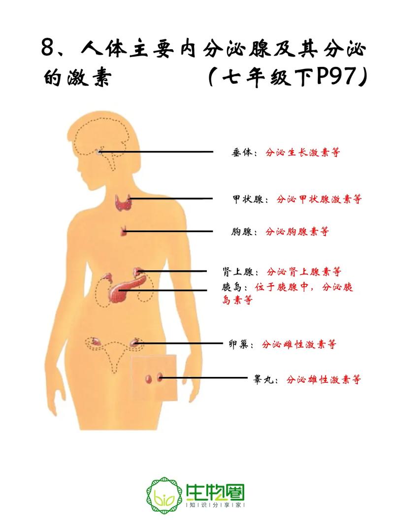 八大系统的主要功能？八大系统及其功能？