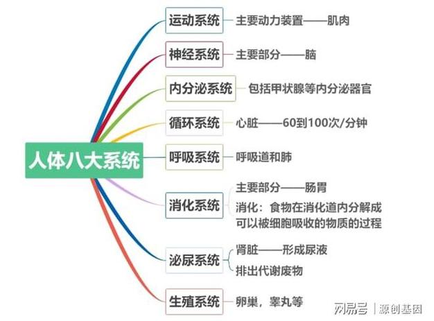 八大系统的主要功能？八大系统及其功能？-第4张图片-优品飞百科