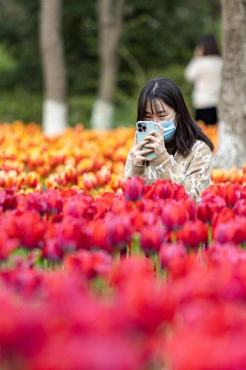 了解乐享花客户端服务电话