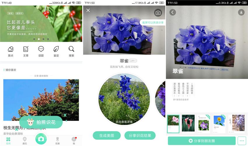 乐享花APP24小时在线服务-第4张图片-优品飞百科