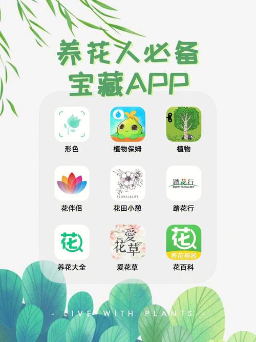 红星花APP全国统一人工客户端-第4张图片-优品飞百科