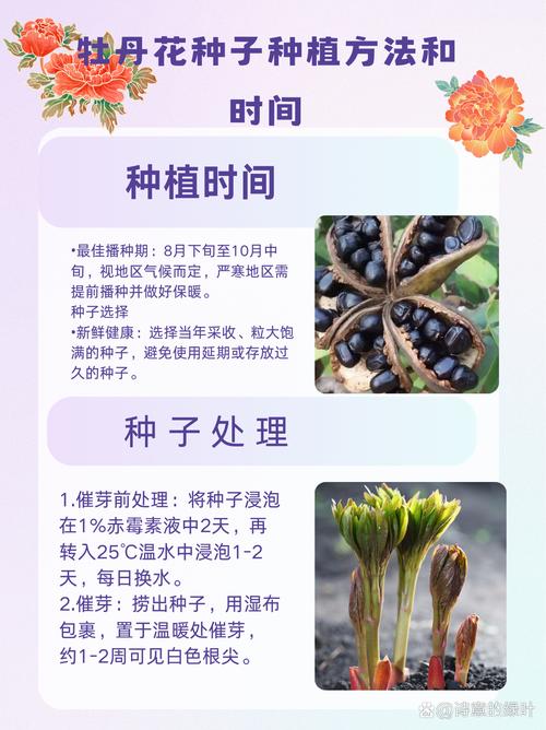 牡丹花全国统一人工客户端-第2张图片-优品飞百科