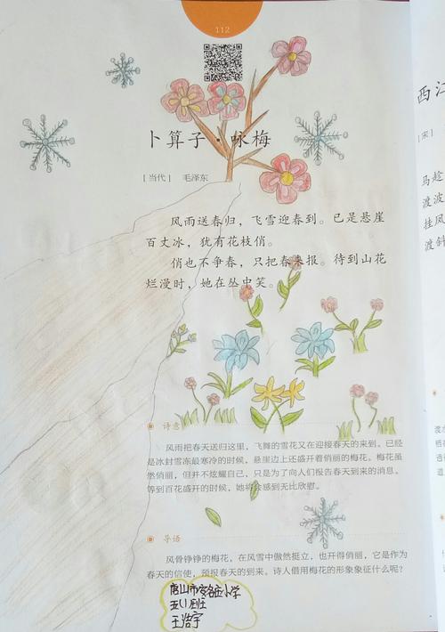 彩虹花APP全国统一24小时在线-第1张图片-优品飞百科