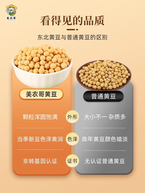 豆豆分期24总部客户端电话