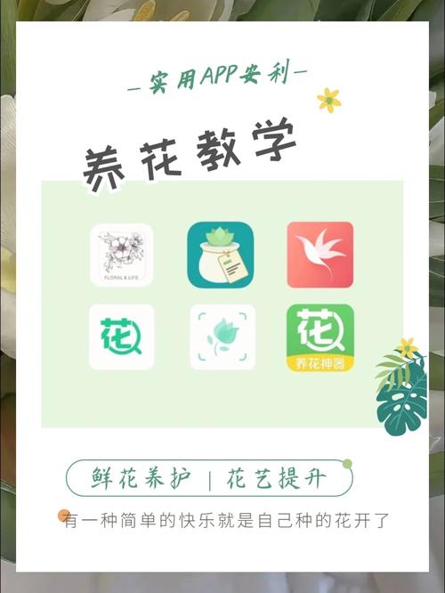 金豆花APP全国统一人工客户端-第2张图片-优品飞百科