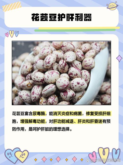 芸豆花人工客户端电话-第2张图片-优品飞百科