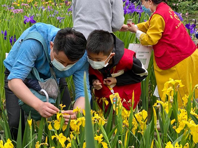 彩虹花全国统一人工客户端-第3张图片-优品飞百科