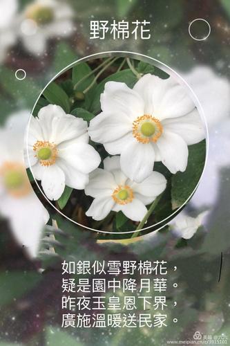 来趣花24在线客户端电话