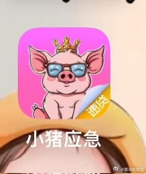 小猪应急24APP客户端电话