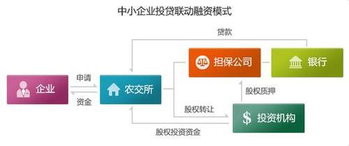 菜鸟借款24APP客户端电话-第3张图片-优品飞百科