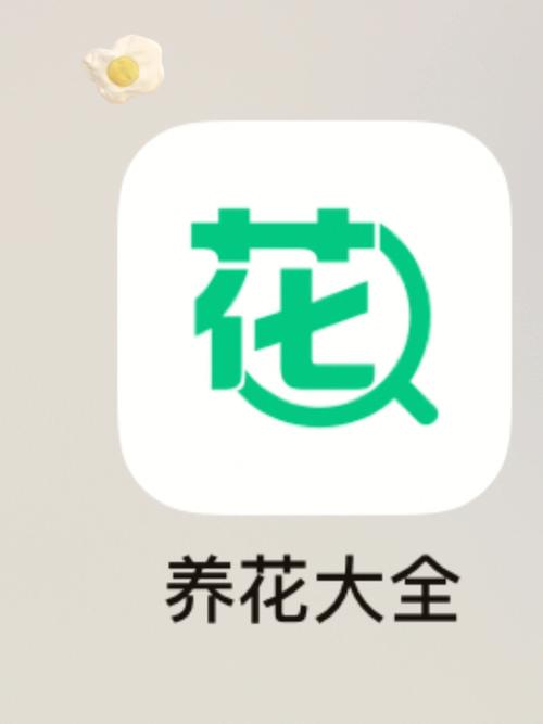 天天花卡APP全国统一客户端电话