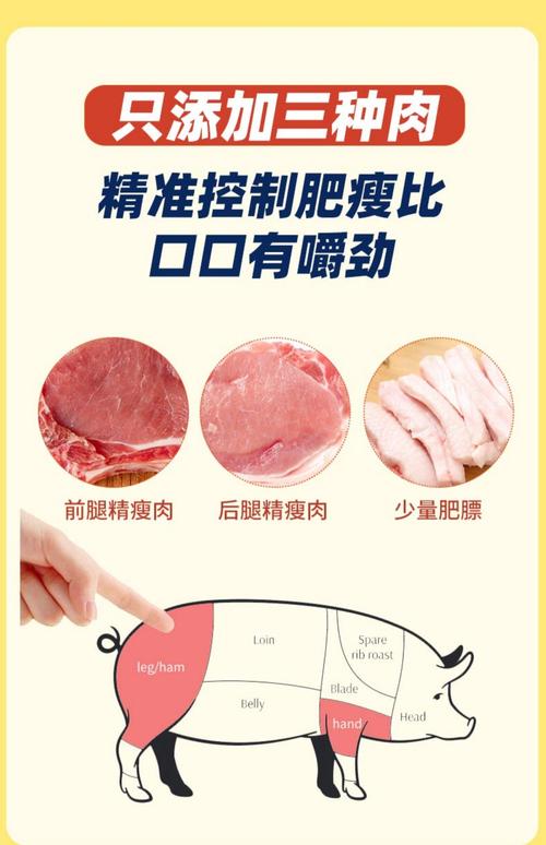 小猪应急借款全国统一人工客户端