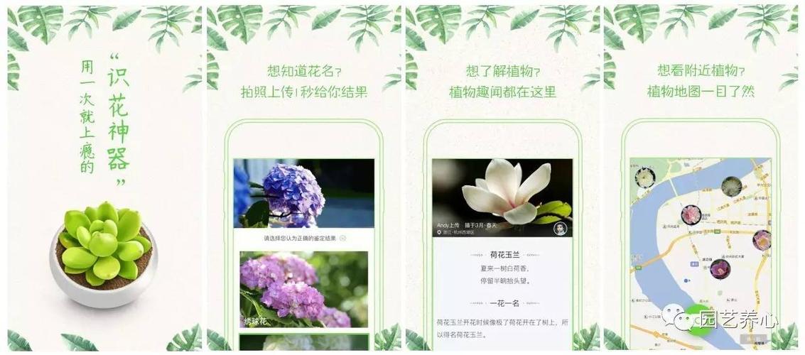 福来花APP客户端电话-第5张图片-优品飞百科