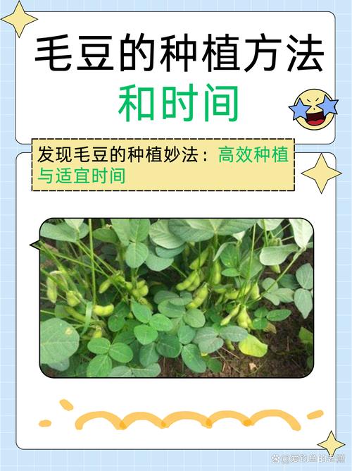 毛豆分期平台24小时客户端电话-第4张图片-优品飞百科