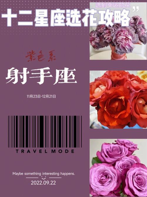 射手花APP全国统一24小时在线-第4张图片-优品飞百科