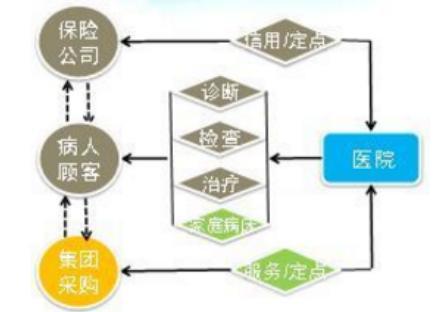 鲸鱼借条24小时在线服务-第4张图片-优品飞百科