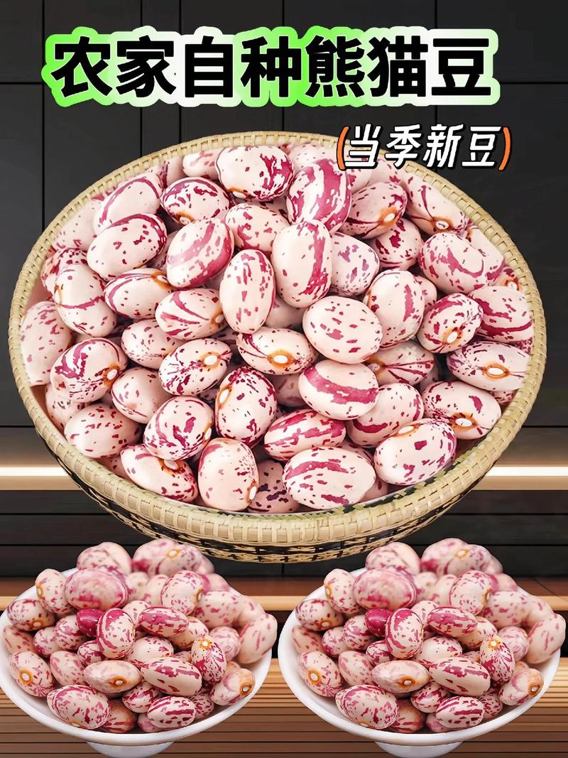 芸豆分24在线客户端电话-第2张图片-优品飞百科