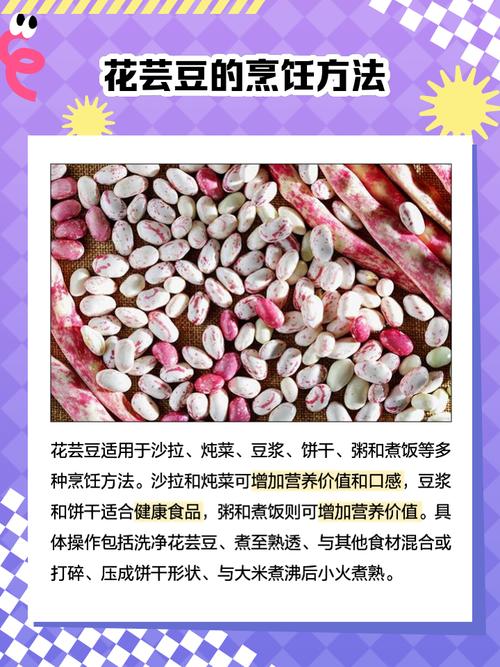 芸豆花人工客户端电话