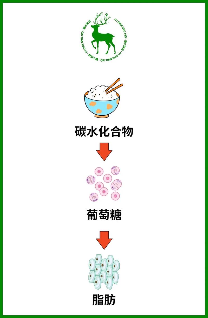 芸豆分24在线客户端电话