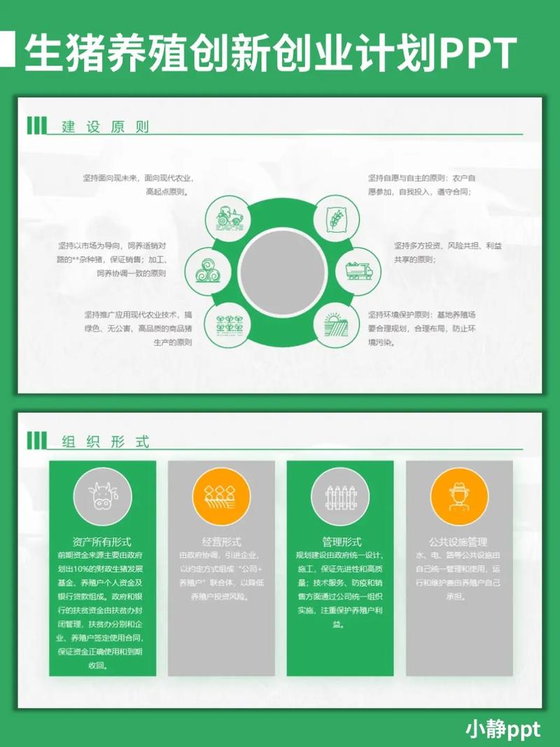 小猪应急有限公司客户端电话