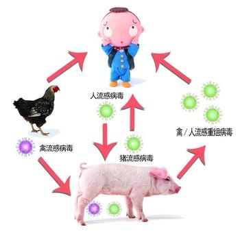 小猪应急有限公司客户端电话