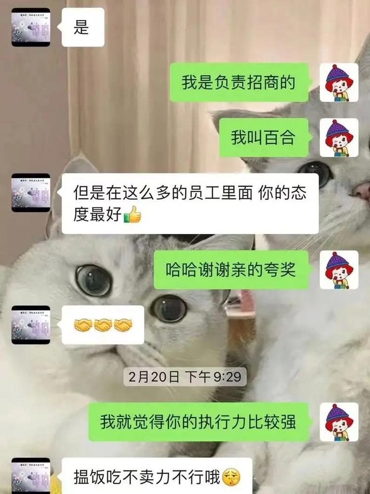 毛豆分期借款24小时在线服务-第7张图片-优品飞百科