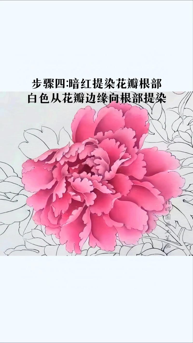 牡丹花拨打服务电话-第2张图片-优品飞百科