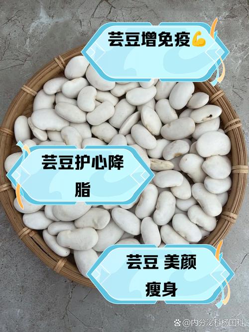 芸豆分24小时在线服务-第3张图片-优品飞百科